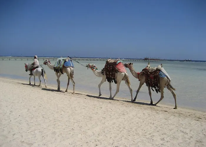 Resort Bliss Abo Nawas Marsa Alem